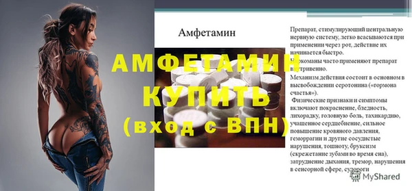 крисы Инта