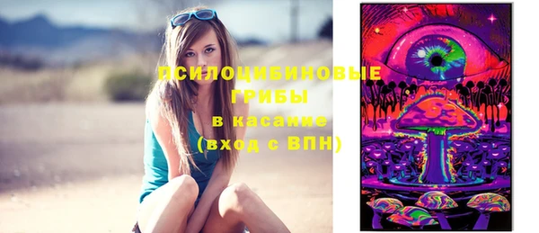MDMA Инсар