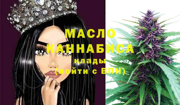 крисы Инта