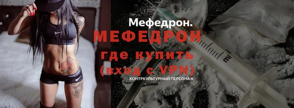крисы Инта