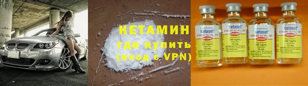 крисы Инта