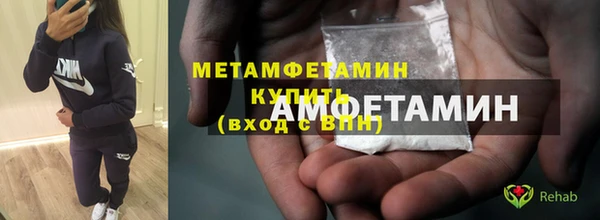 крисы Инта