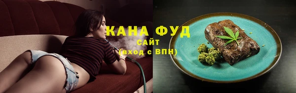 крисы Инта