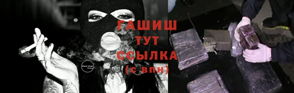 крисы Инта