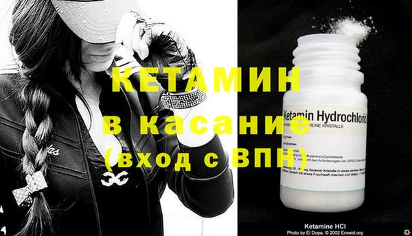крисы Инта