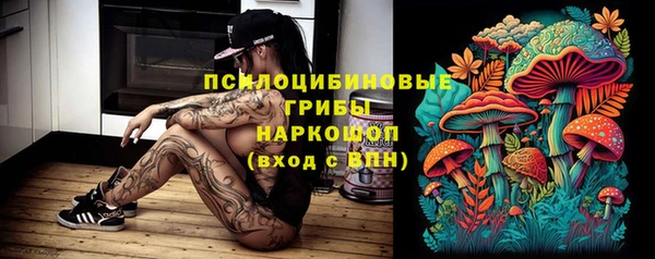 крисы Инта
