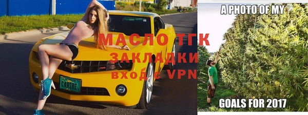 крисы Инта