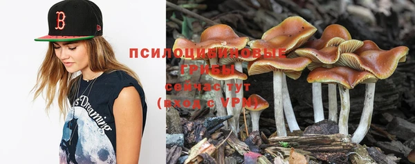 крисы Инта