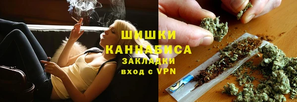крисы Инта