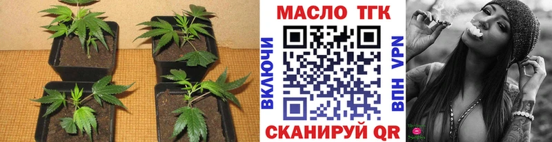 ТГК концентрат  Купить где  Клин 