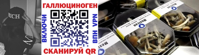Псилоцибиновые грибы Cubensis  Купить закладки  Клин 